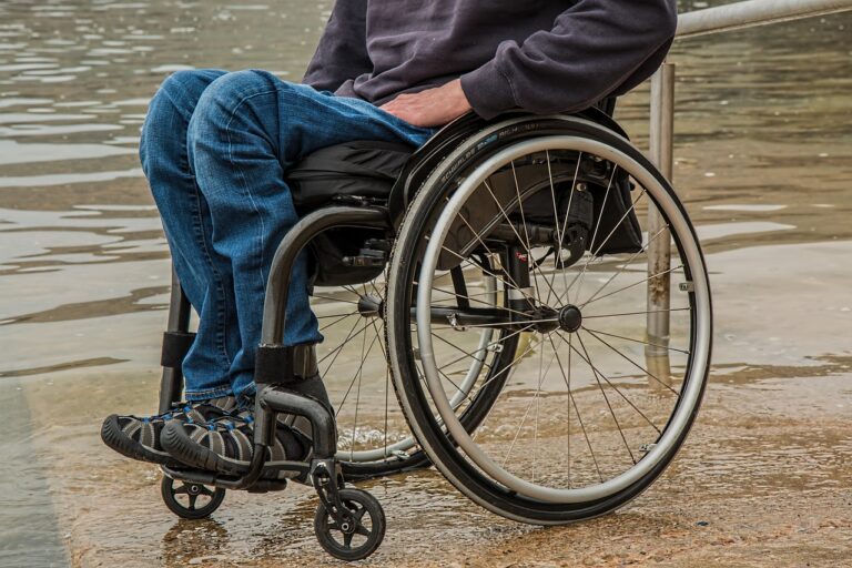 Choroby i Dolegliwości jako Przyczyny Niepełnosprawności w Polsce